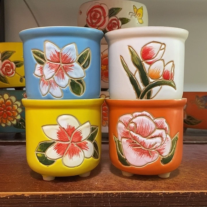 韩式多肉植物花盆