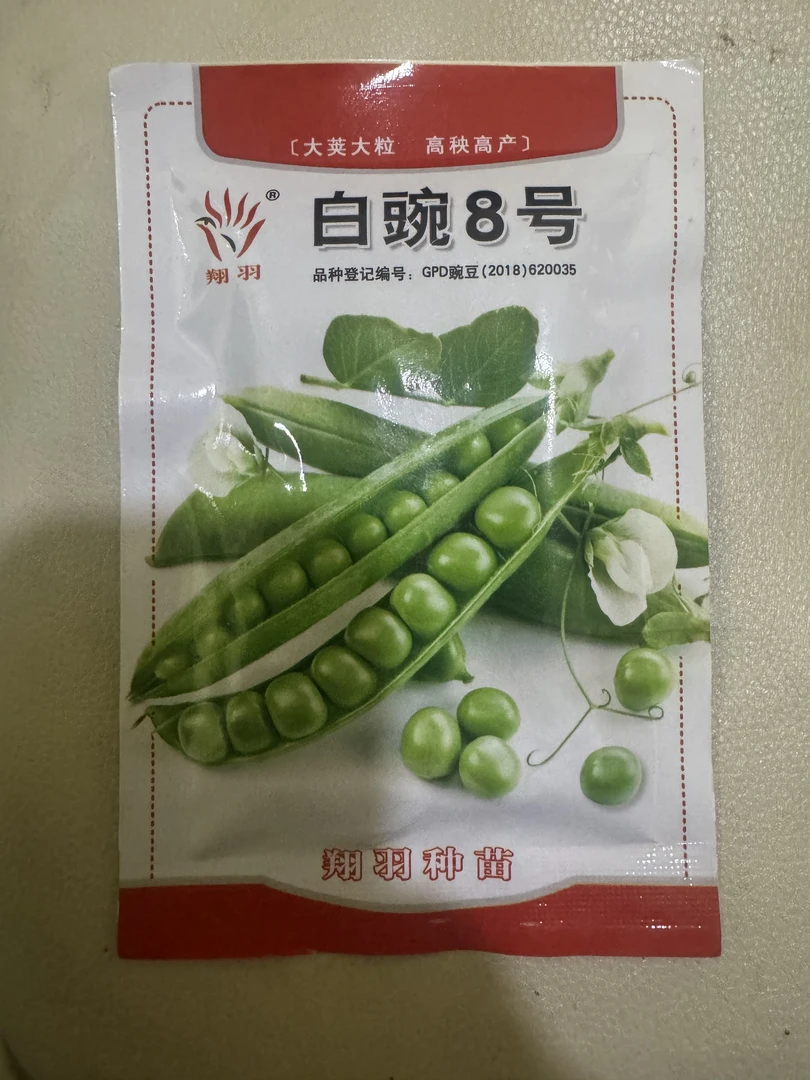 甜脆青豌子老品种耐寒高产豆蔬菜种子吃豆