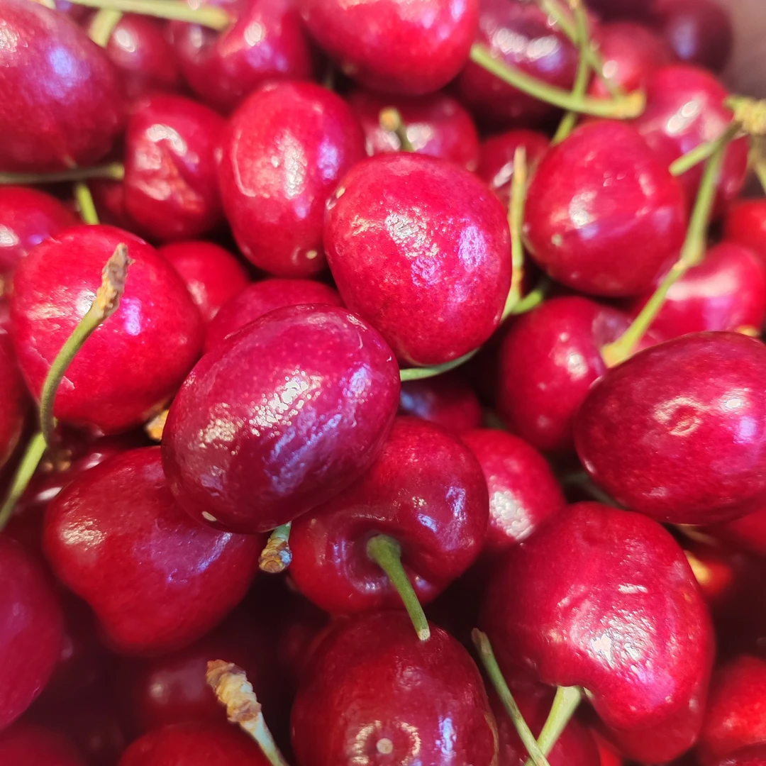 海运车厘子JJ一盒净重约300克