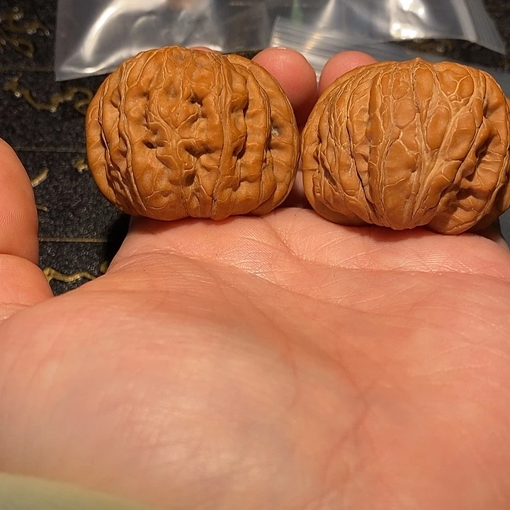 走***你核桃手串/手链41元宝