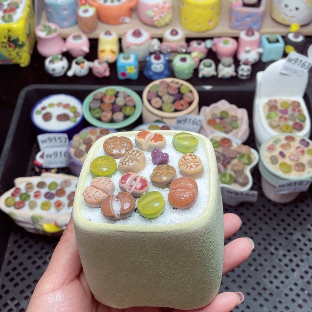 w9170 -零下地区拍保温箱-15支持寄养