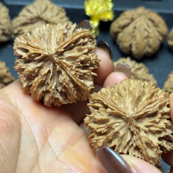 影***全文玩核桃吊坠秦岭灯笼17