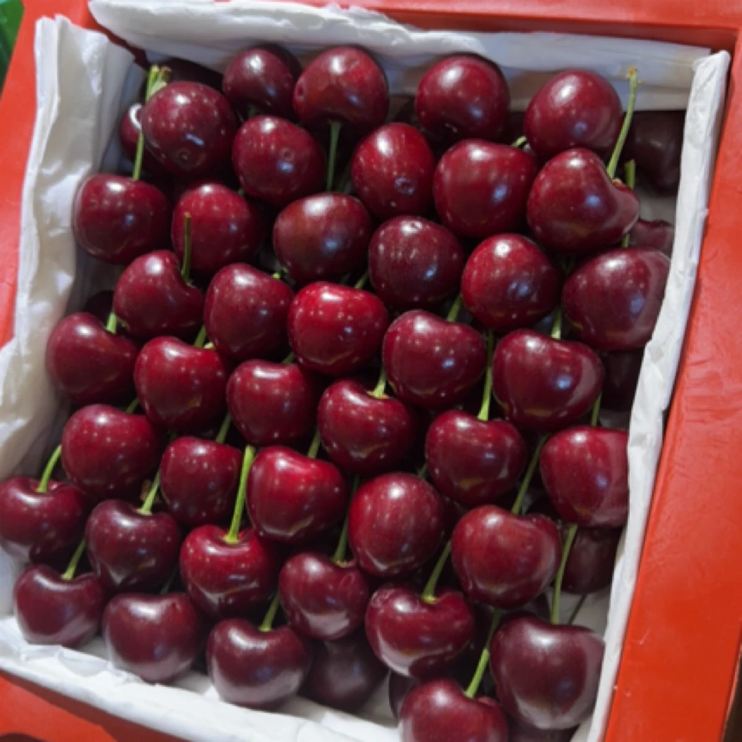 【贝壳鲜果】大连美早大樱桃1.5斤3J桑提娜智利