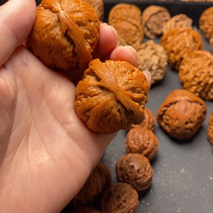 秦岭野生11111111111111