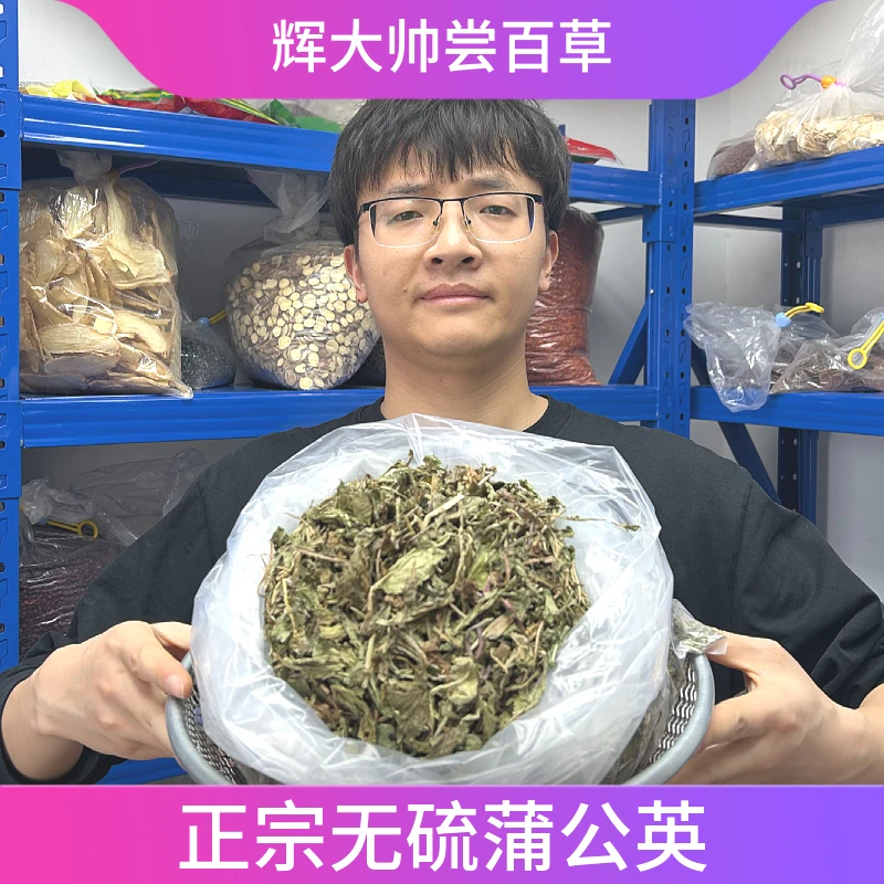正宗无硫蒲公英晒干煮水搭配山楂