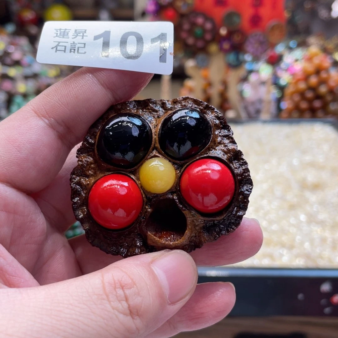 核桃木/黑胡桃（胡桃木）101合唱团