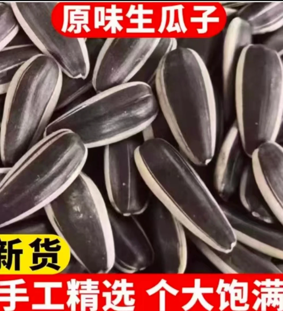 【拍一发三】内蒙古新货大颗粒原味葵花籽生瓜子休闲零食
