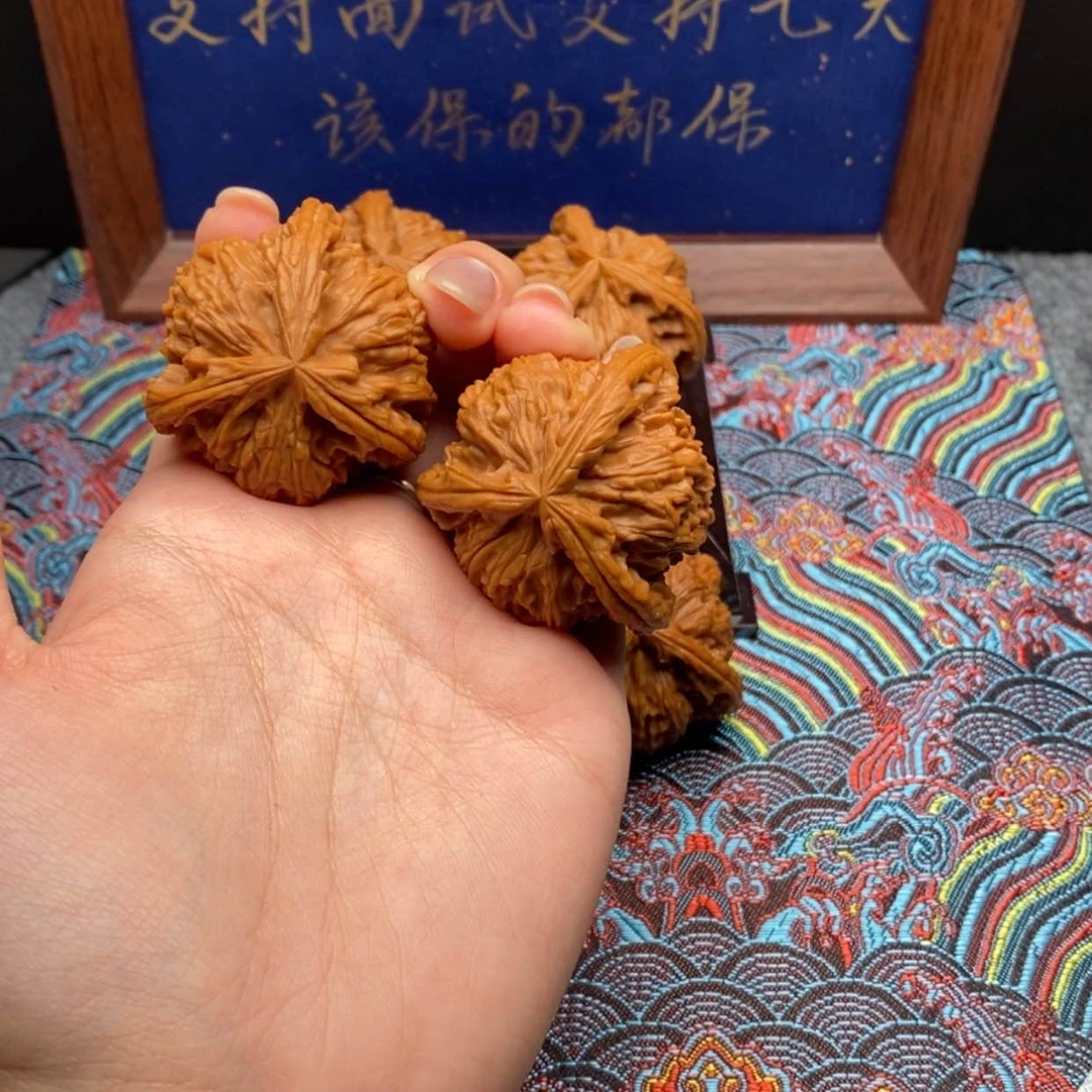 【闪购商品】遇*野白狮