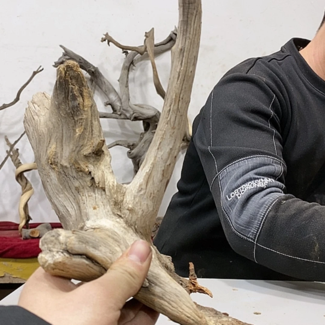 【闪购商品】柏木展****）我们都是好孩子