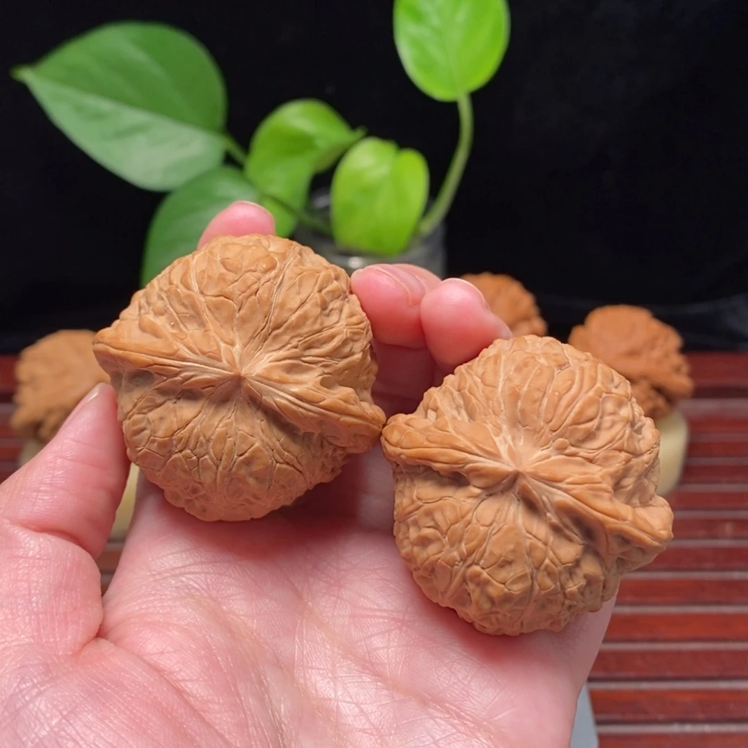 像***n核桃45全品南瓜墩