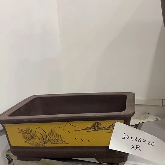 2个50口家漏家默叛徒