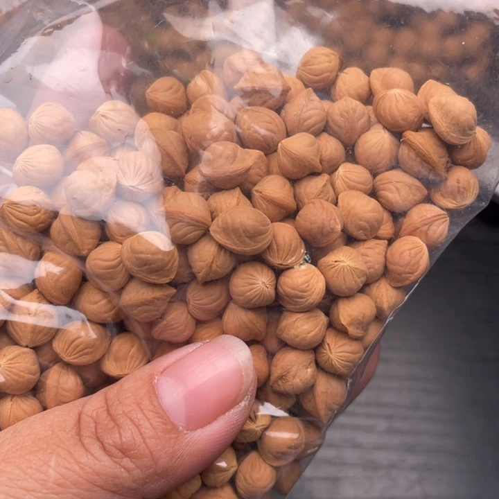 山***风树脂制品散发180元优惠活动