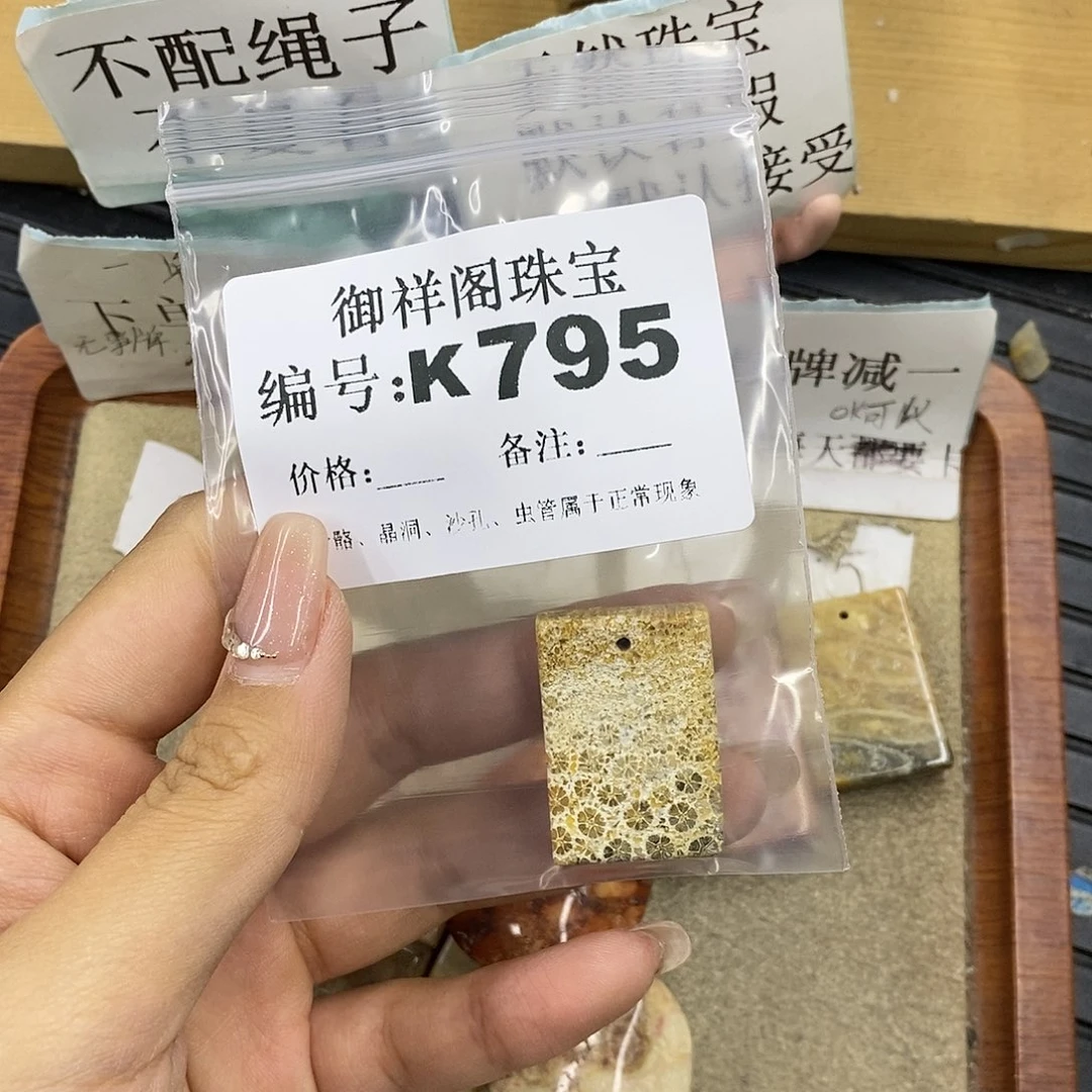 硅化珊瑚（珊瑚玉）未镶嵌颈饰塔