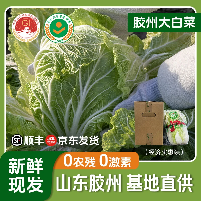 【经济实惠装】胶州大白菜生态健康产地直供包邮2.5kg单颗小白菜