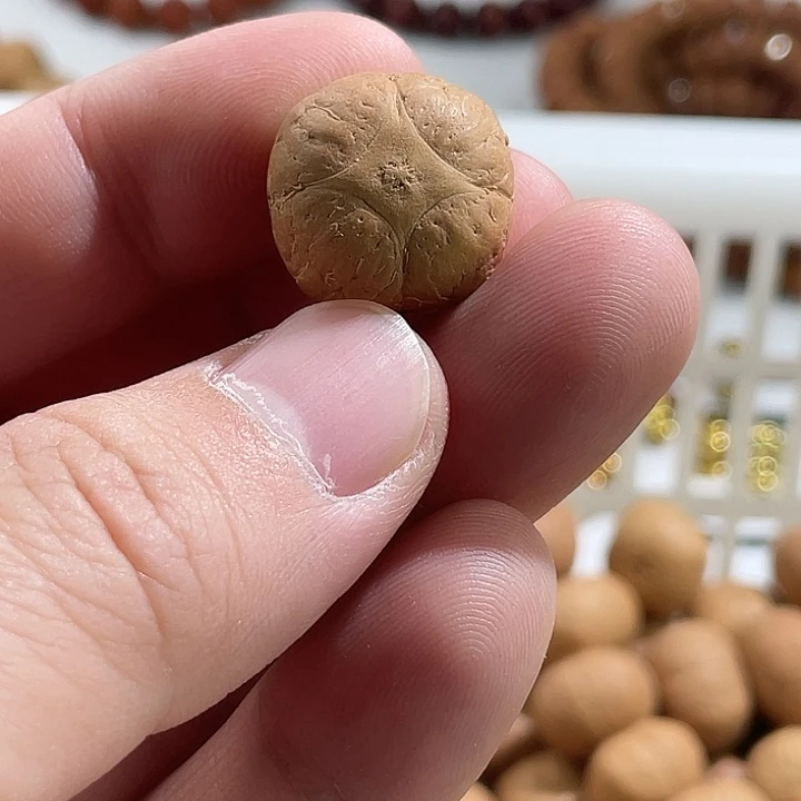 凤眼菩提吊坠尼泊尔小凤眼