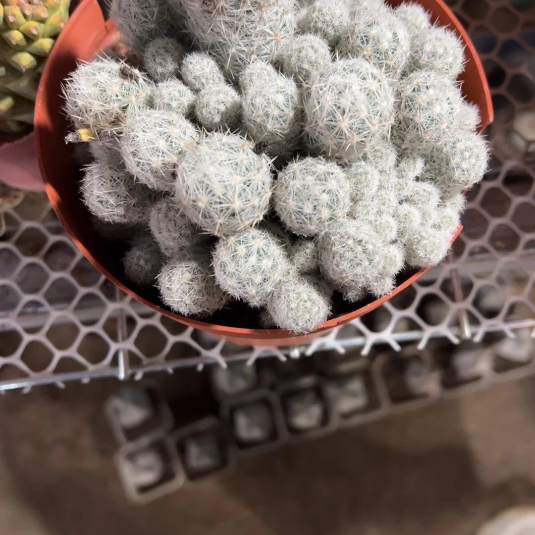 千***~啦啦啦啦啦啦啦啦啦啦