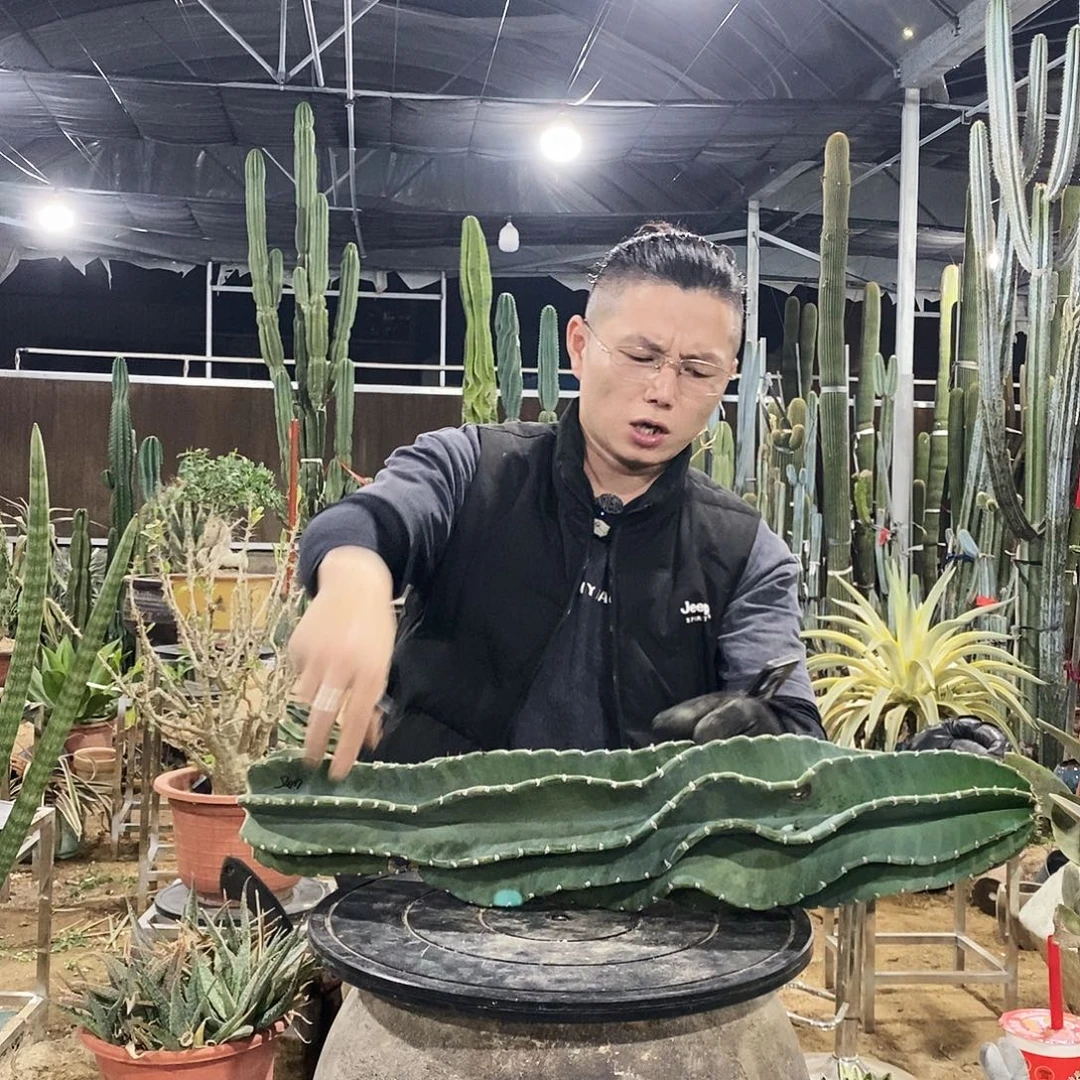 11号拍品。