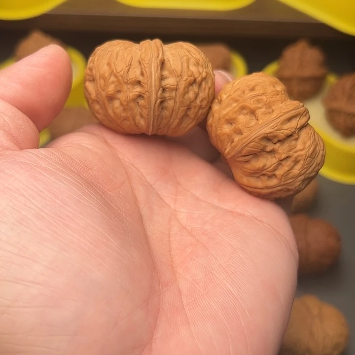 45尺精配头货毕业球宝