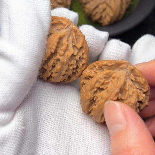 文玩核桃把件秦岭核桃 8