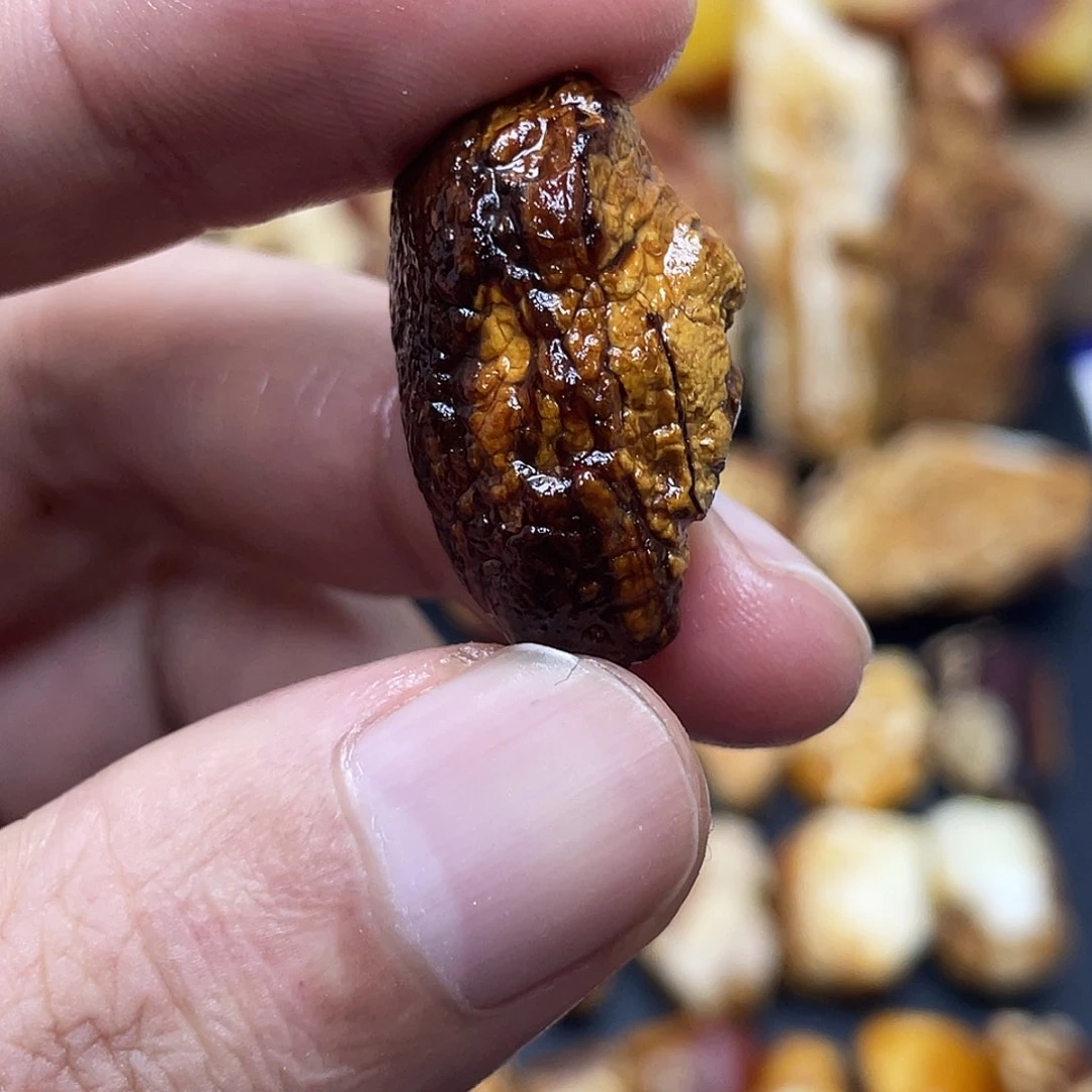 定制琥珀未镶嵌⋭***⋬定制