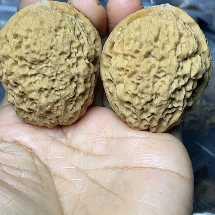 把件文玩核桃云南铁核桃11