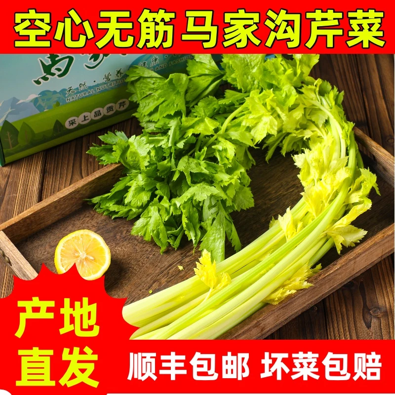 芹始皇马家沟芹菜新鲜芹菜健康蔬菜西芹凉拌热炒有机芹菜顺丰包邮