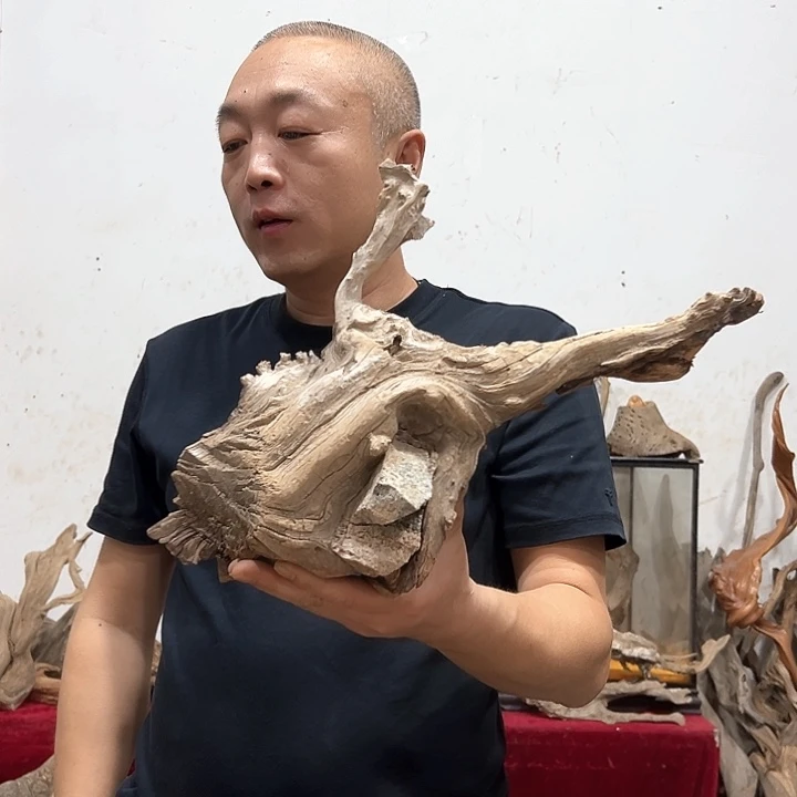 柏木?*東我们的生活也是如此吧哈哈
