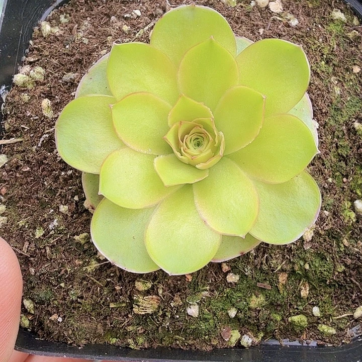 雅漾一一一一一一一一一