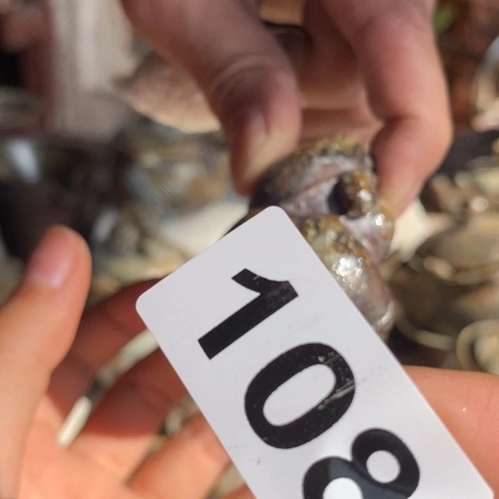 茶盏啦啦啦啦啦啦啦108