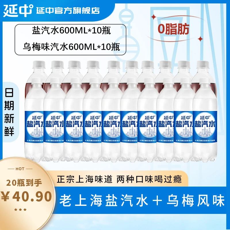 延中盐汽水10瓶+乌梅味汽水10瓶2种口味组合600ml*20瓶夏日饮品