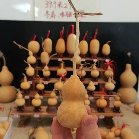 直播间专拍葫芦葫芦