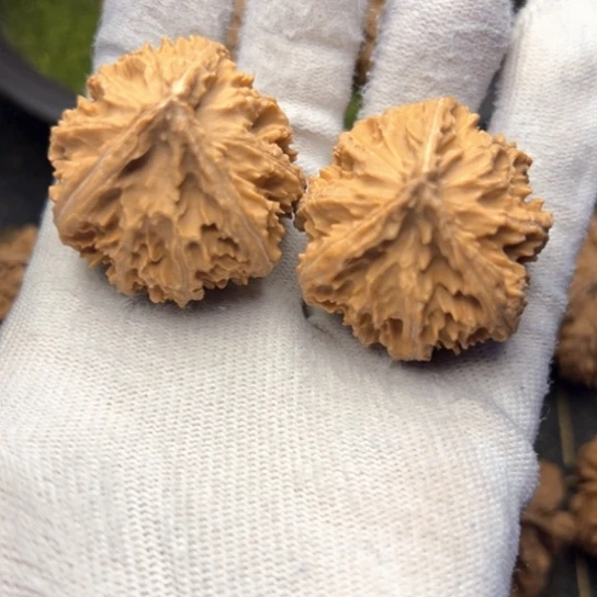 文玩核桃把件秦岭核桃8