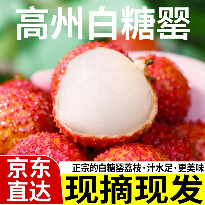 【京东直达】正宗广东高州白糖罂荔枝大果自家果园现摘现发