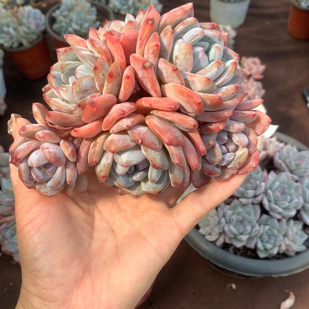 哈哈哈哈哈哈哈哈哈哈