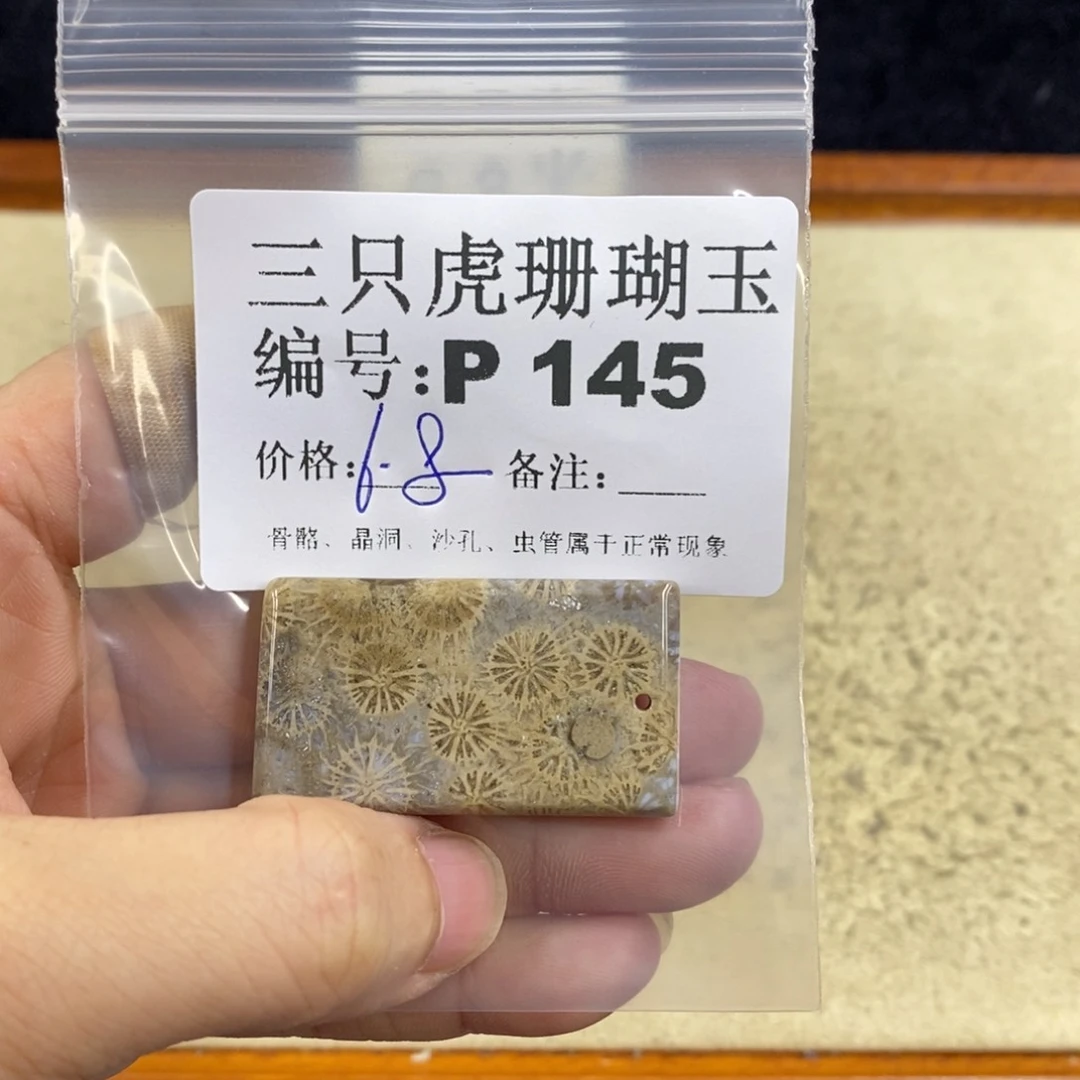 硅化珊瑚（珊瑚玉）1未镶嵌乐**?