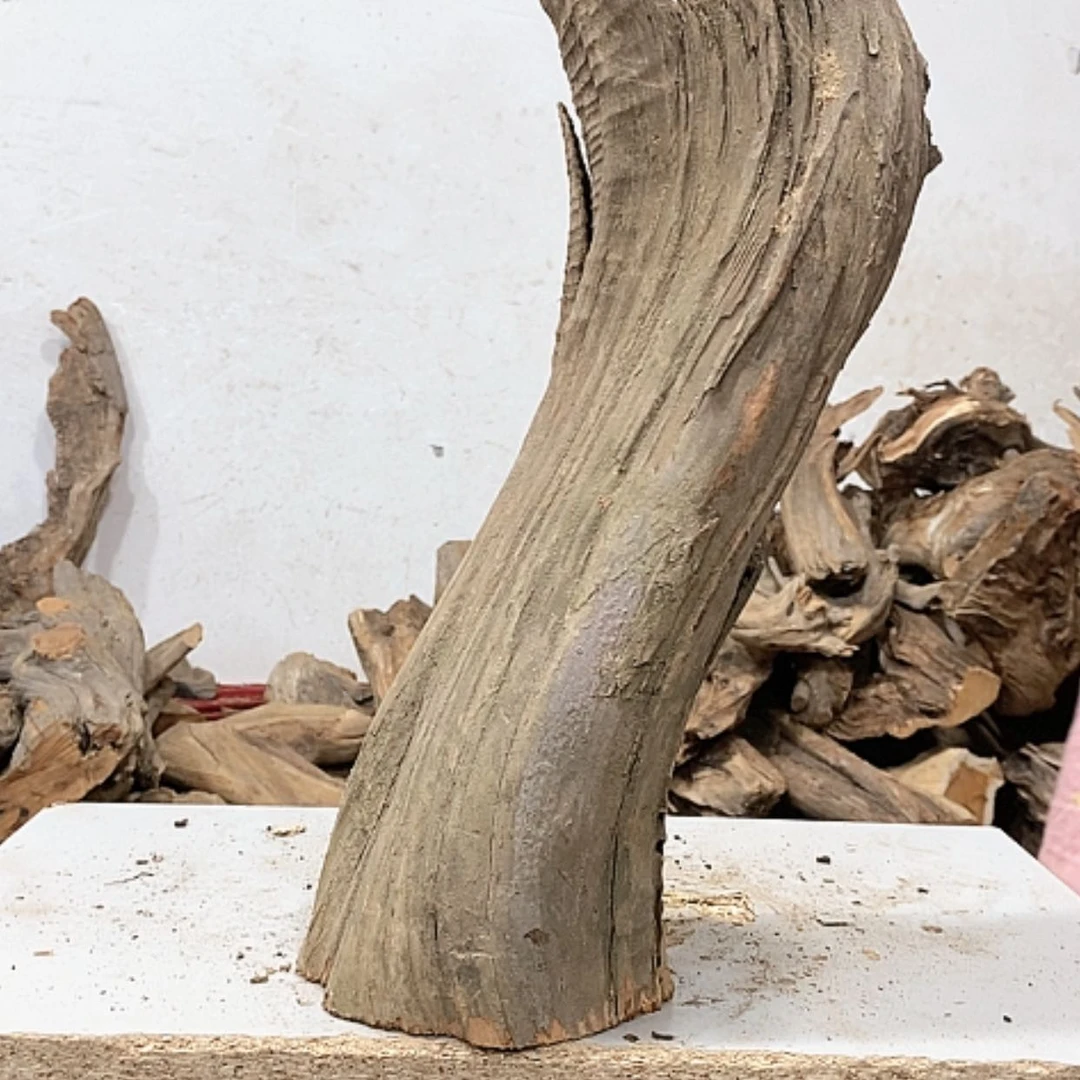 【闪购商品】柏木幸**生我们都是好孩子啊