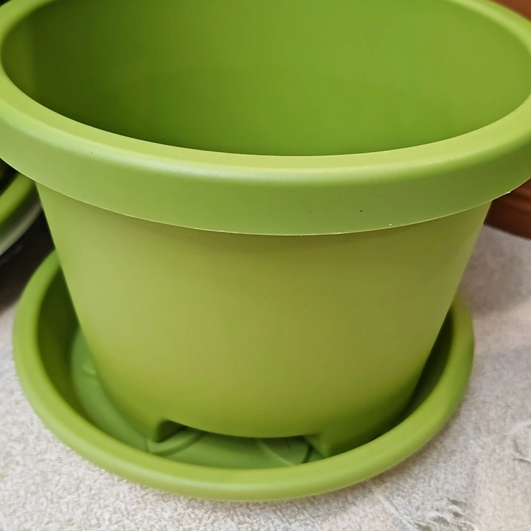 树脂球根二号外口径20.5，果绿带托2个