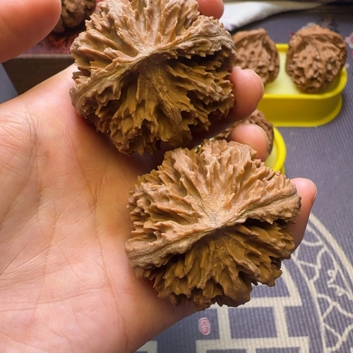 文玩核桃把件核桃