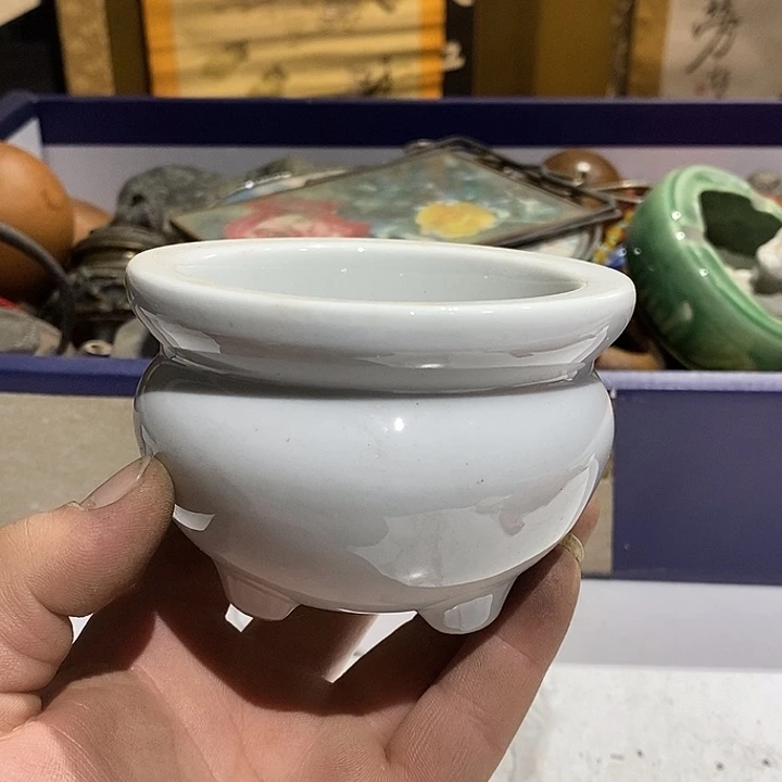 67号茶周边，不明白可以咨询