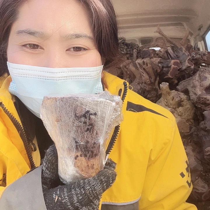 香榧木麻梨的小可爱来了来