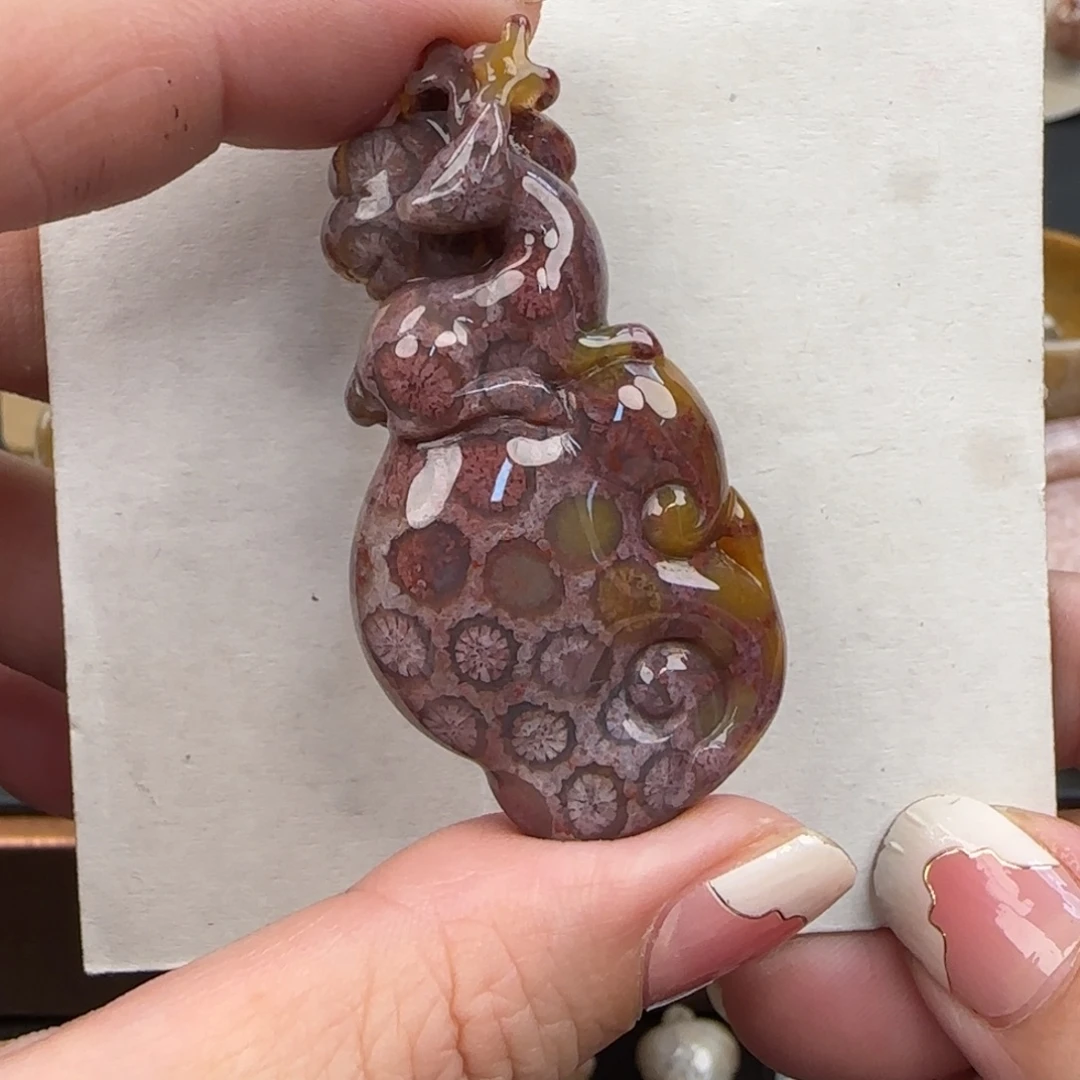 硅化珊瑚（珊瑚玉）未镶嵌颈饰260