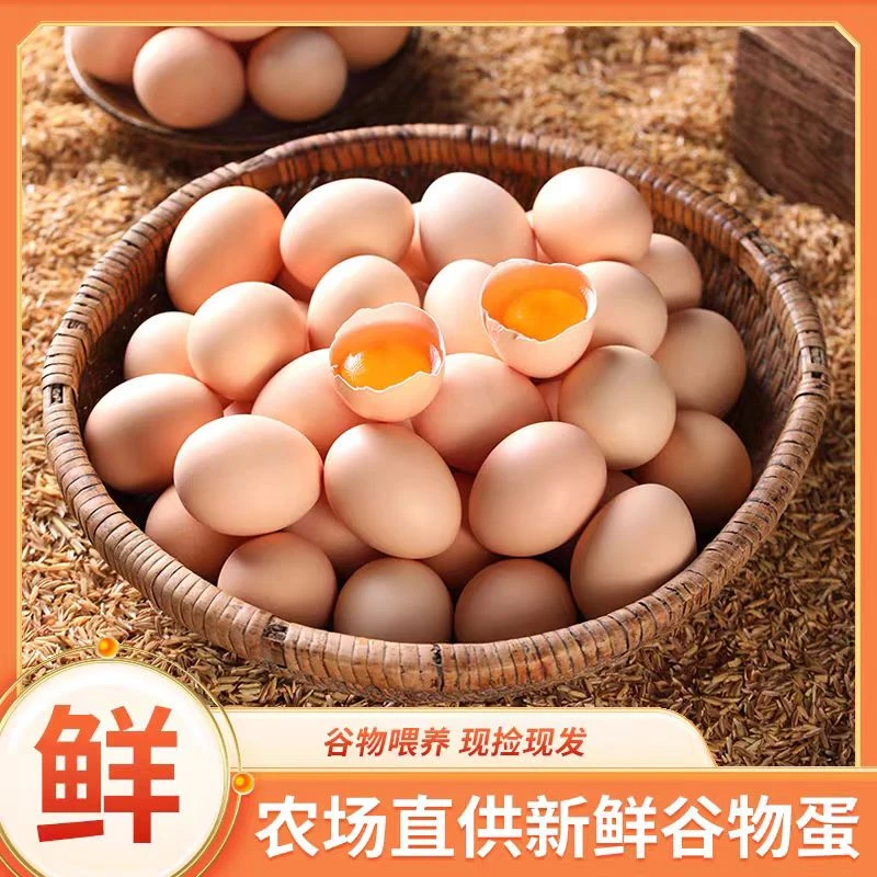 【破损包赔】【50枚】山林散养土鸡蛋新鲜营养健康谷物喂养鲜蛋