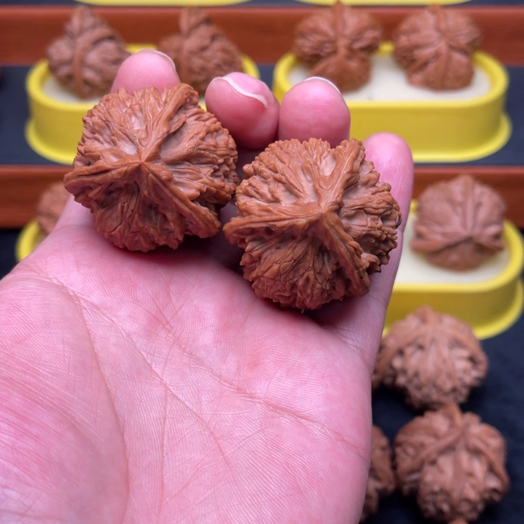 核桃手串/手链高炮玉龙正奔42