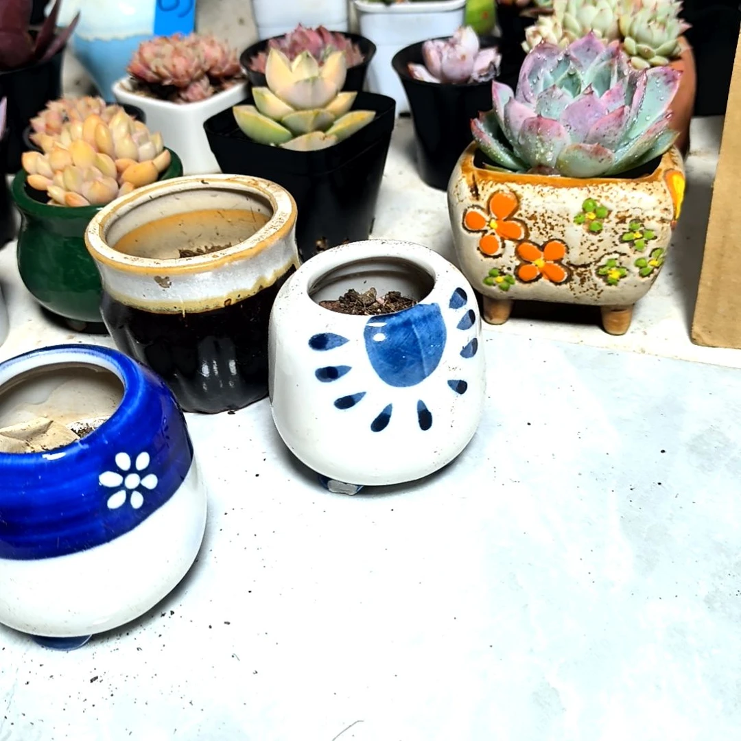 满9元包邮，达摩佛娘