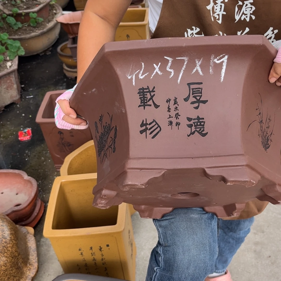 紫砂花盆盆景艺术