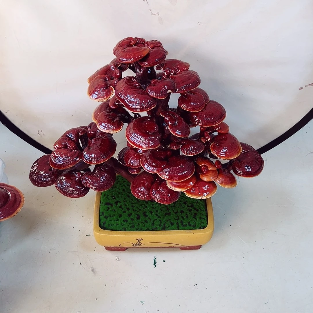 【闪购商品】无花朵