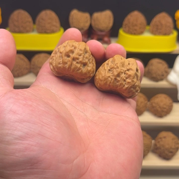 河***料1111111111111111111