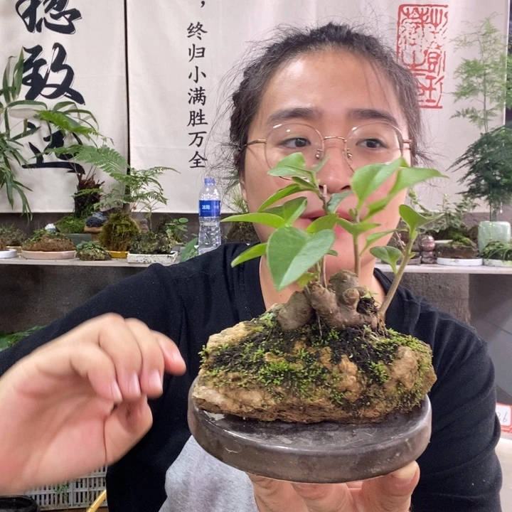 ****毛无花朵退款退款拉黑26