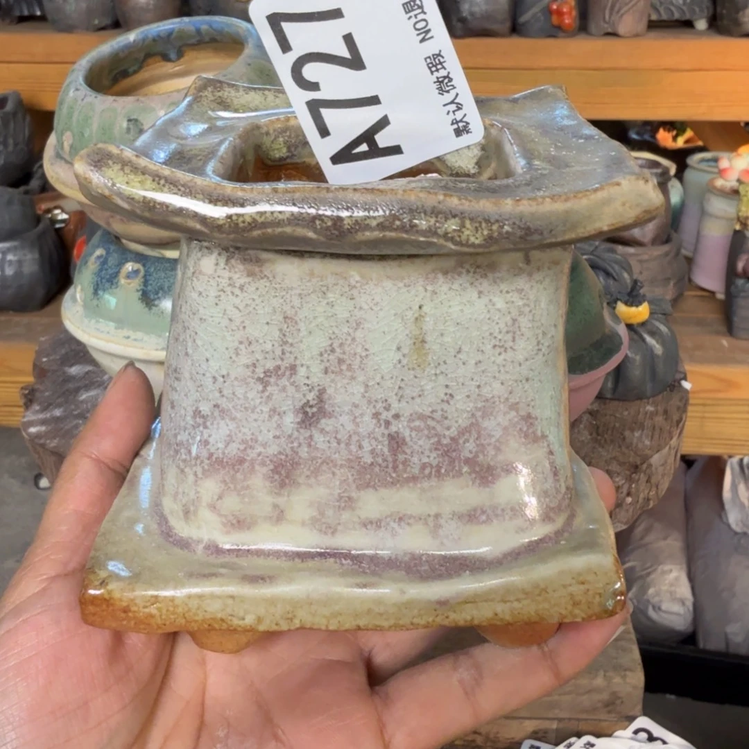重庆小燕子欢迎大家727
