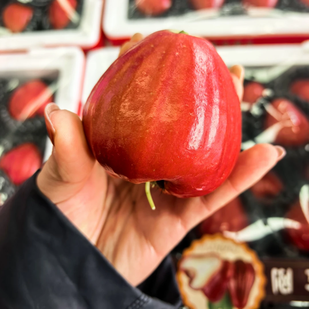 【顺丰次日达】黑金刚莲雾 6个海南黑金刚云南省